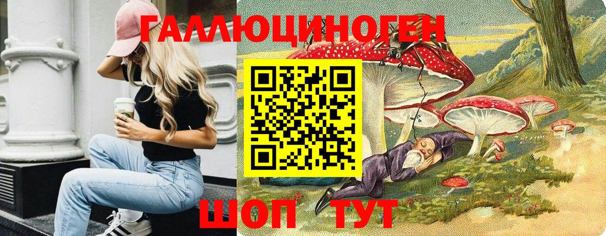 Кушва  Псилоцибиновые грибы Psilocybine cubensis  Вход с VPN 
