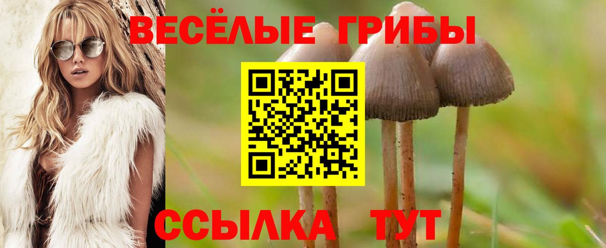 Галлюциногенные грибы Psilocybine cubensis Кушва